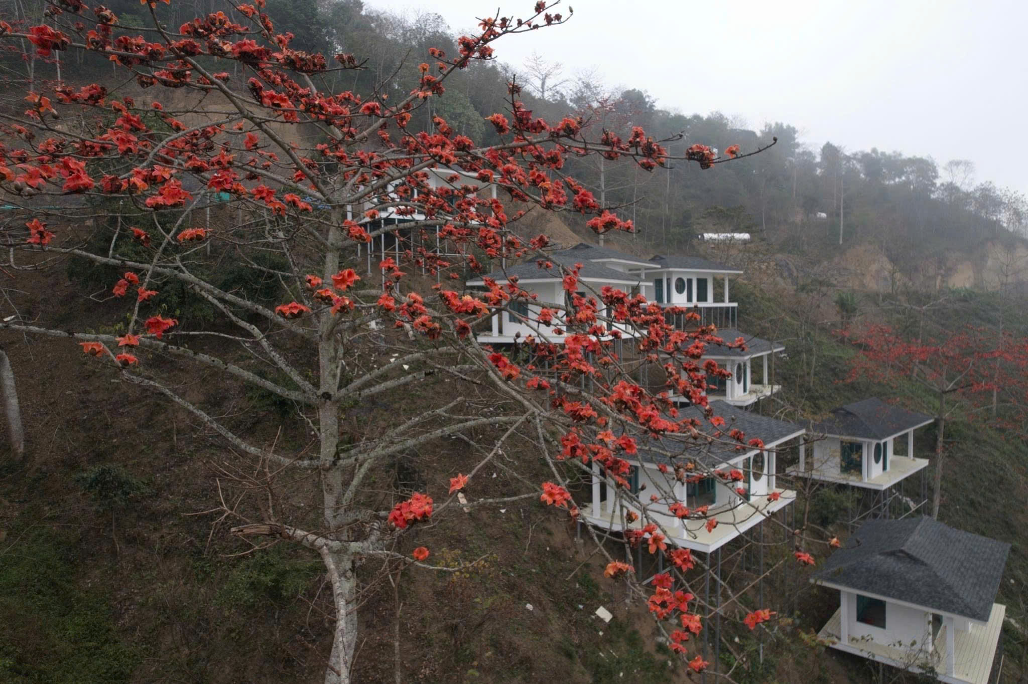 Xây Homestay khung thep