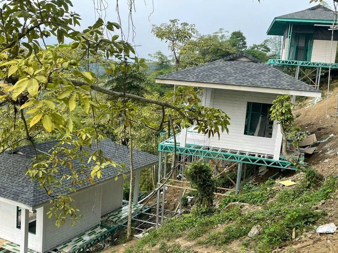 Mẫu Homestay khung thép kính tràn viền giữa rừng thông Đà Lạt